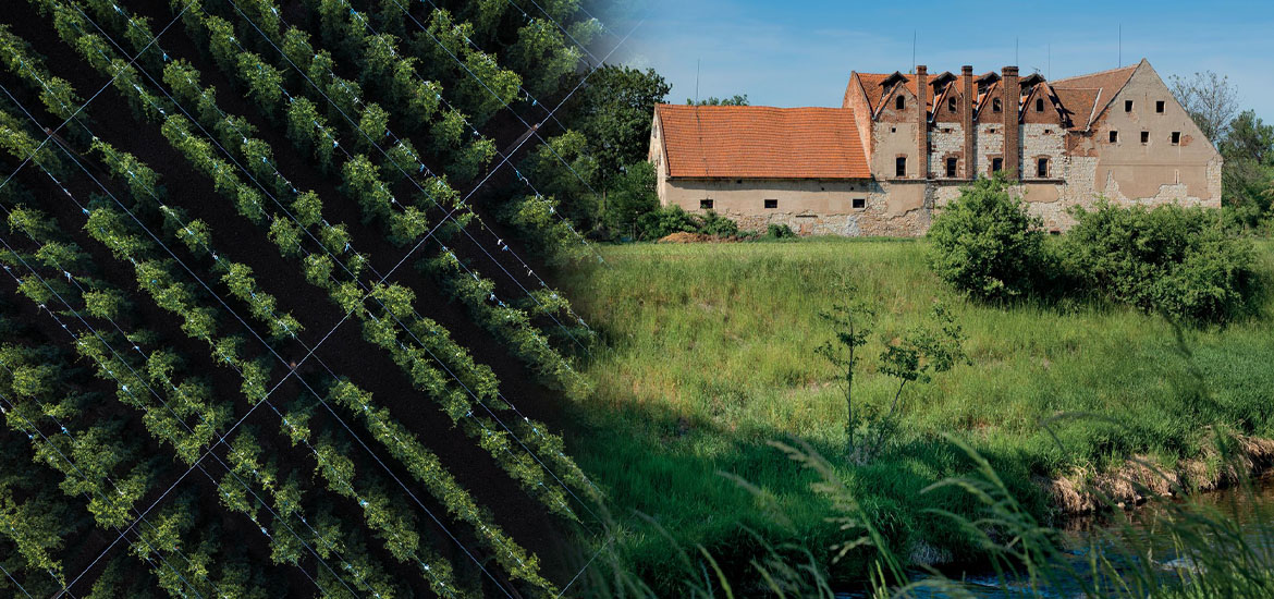 Image - Hop wire trellises, hop drying kilns, warehouses, hop packing houses, etc. as a specific evidence of hop heritage